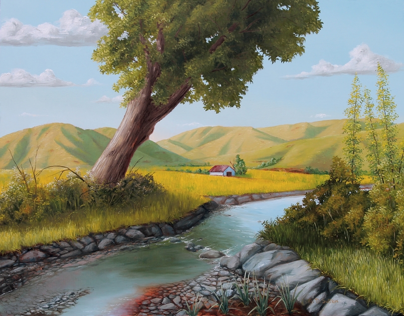 New Zealand Landscape Art of a field
